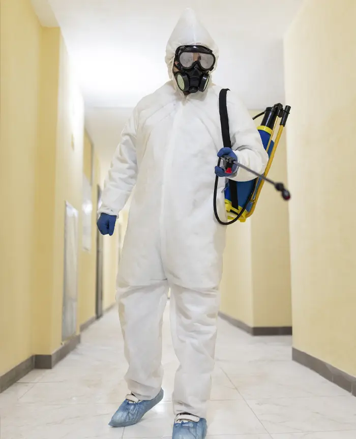 Desinfección y Sanitización