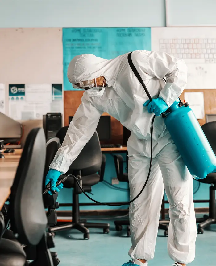 Control de Roedores e Insectos
